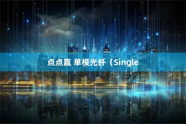 点点赢 单模光纤（Single