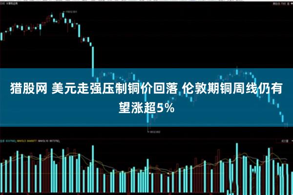 猎股网 美元走强压制铜价回落 伦敦期铜周线仍有望涨超5%